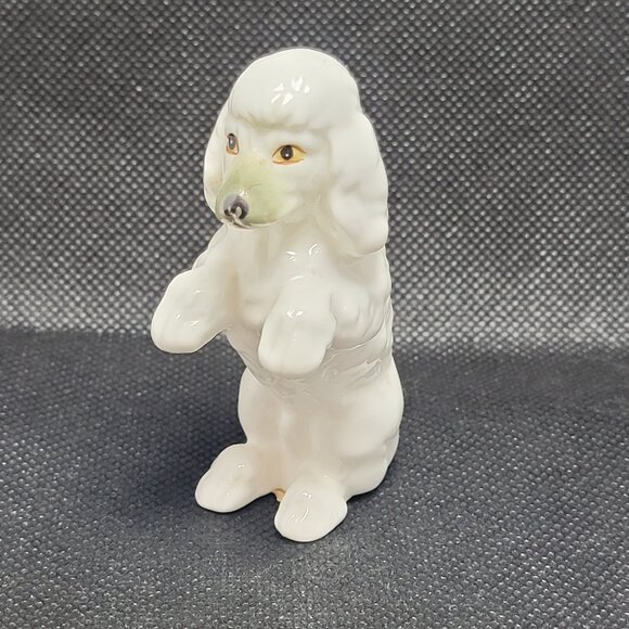 Vintage White Poodle Sitting Begging Bone China Figurine Gift Craft Canada - Picture 1 of 8